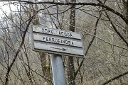 55 Sorgente di acqua ferruginosa